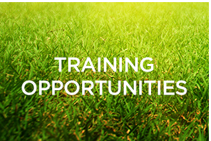 Training-Opportunities-Button